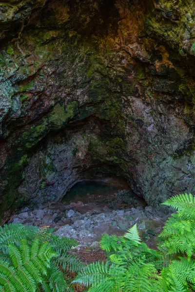 Пещера Руатапу Оракеи Корако Новой Зеландии — стоковое фото