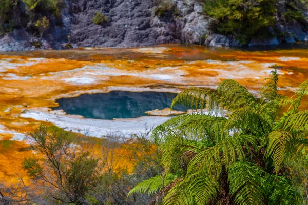 Kiselterrasser Vid Orakei Korako Nya Zeeland — Stockfoto