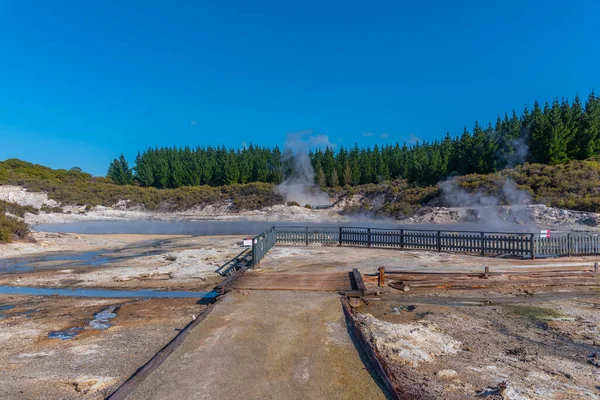 Hell Gate Geothermal Reserve New Zealand — Stock Photo, Image
