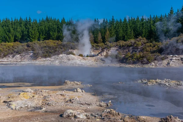 Rezerwat Geotermalny Hell Gate Nowej Zelandii — Zdjęcie stockowe