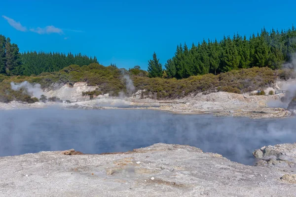 Геотермальний Заповідник Hell Gate New Zealand — стокове фото