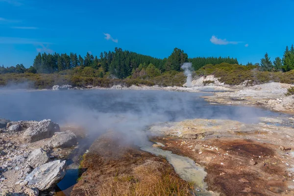 Rezerwat Geotermalny Hell Gate Nowej Zelandii — Zdjęcie stockowe