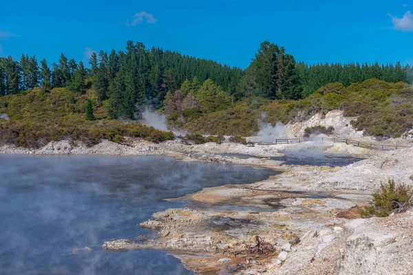 Геотермальний Заповідник Hell Gate New Zealand — стокове фото