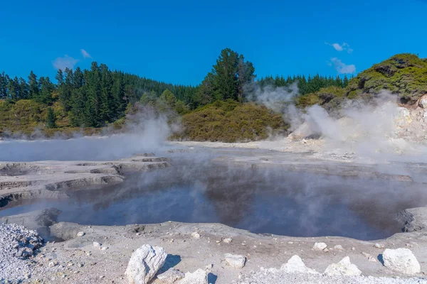 Hell Gate Geothermal Reserve New Zealand — Stock Photo, Image