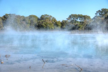 Yeni Zelanda, Rotorua 'daki Kuirau parkında jeotermal gölet