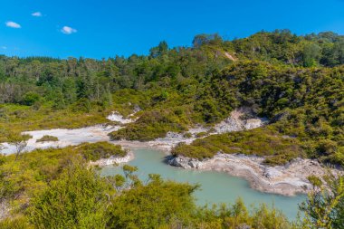 Rotorua 'nın Maori kültürü için Te Puia merkezindeki jeotermal manzarası, Yeni Zelanda