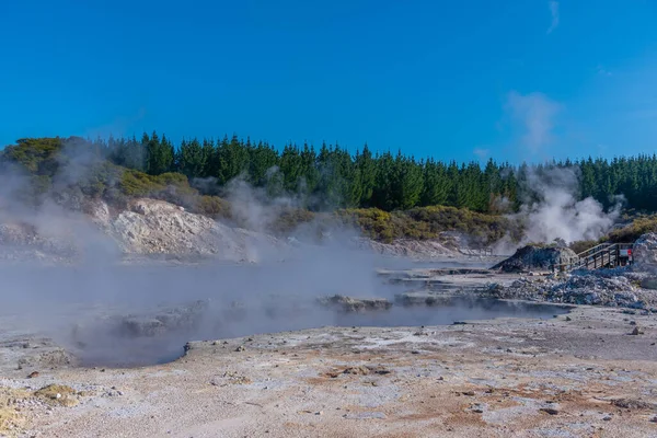 Геотермальный Заповедник Hell Gate Новой Зеландии — стоковое фото