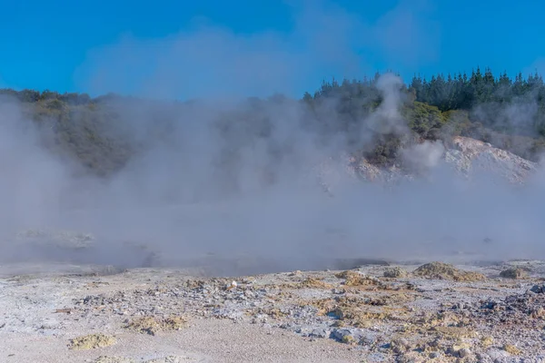 Forró Medencék Hell Gate Geotermikus Rezervátumban Zélandon — Stock Fotó