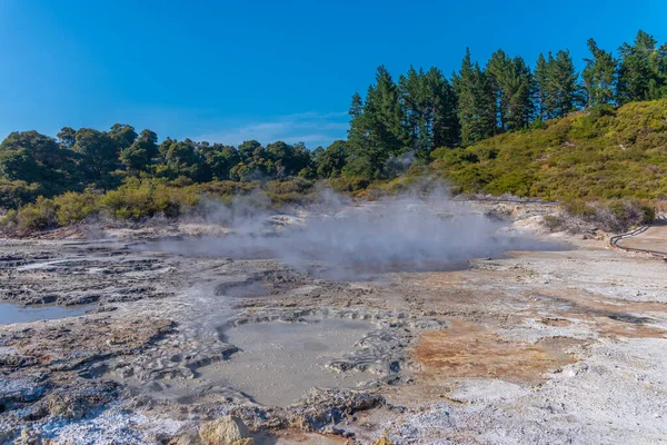 Hot pools at Hell\'s Gate Geothermal Reserve in New Zealand