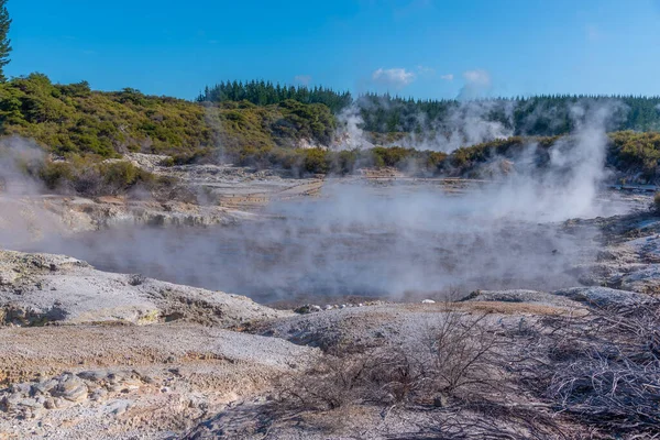 Forró Medencék Hell Gate Geotermikus Rezervátumban Zélandon — Stock Fotó