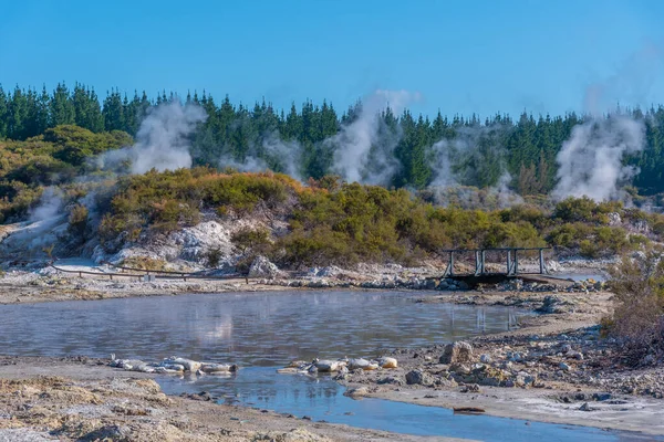 Hell Gate Geotermisk Reserv Nya Zeeland — Stockfoto