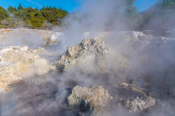 Gorące Baseny Rezerwacie Geotermalnym Hell Gate Nowej Zelandii — Zdjęcie stockowe