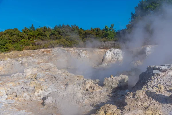 Forró Medencék Hell Gate Geotermikus Rezervátumban Zélandon — Stock Fotó