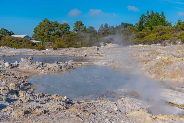 Hot pools at Hell\'s Gate Geothermal Reserve in New Zealand