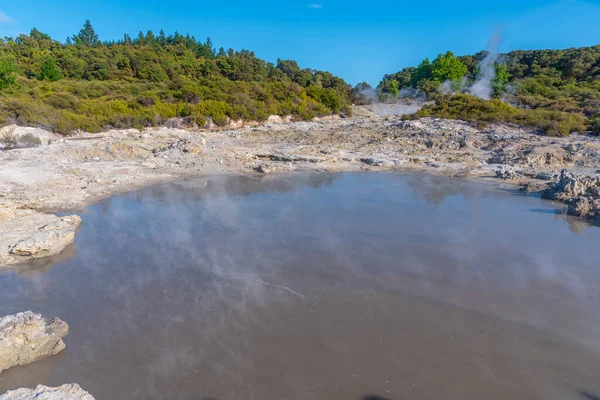 Piscines Chaudes Hell Gate Geothermal Reserve Nouvelle Zélande — Photo