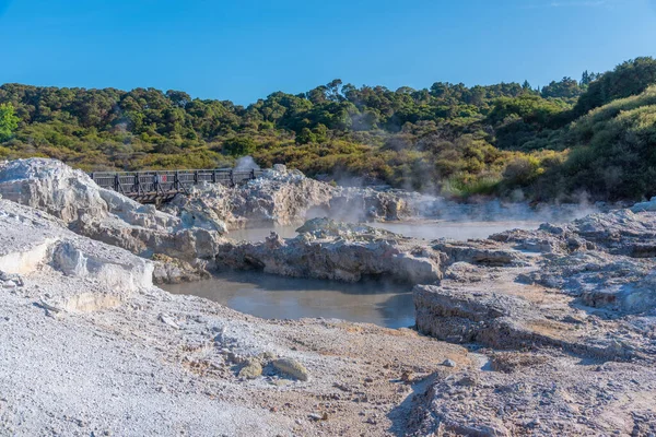 Hot pools at Hell\'s Gate Geothermal Reserve in New Zealand