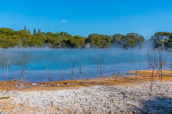 Geothermalteich Kuirau Park Rotorua Neuseeland — Stockfoto