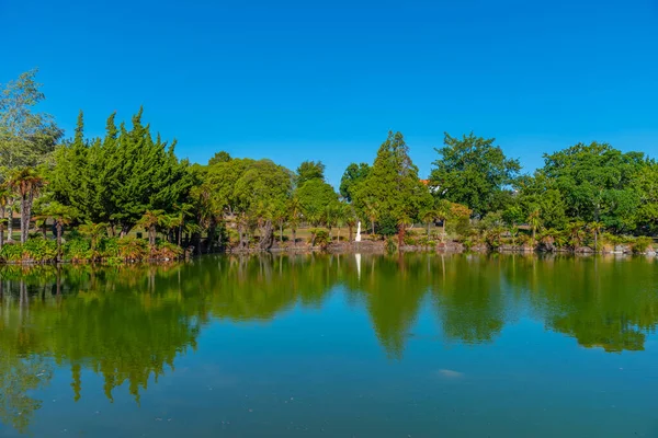 Lac Parc Kuirau Rotorua Nouvelle Zélande — Photo