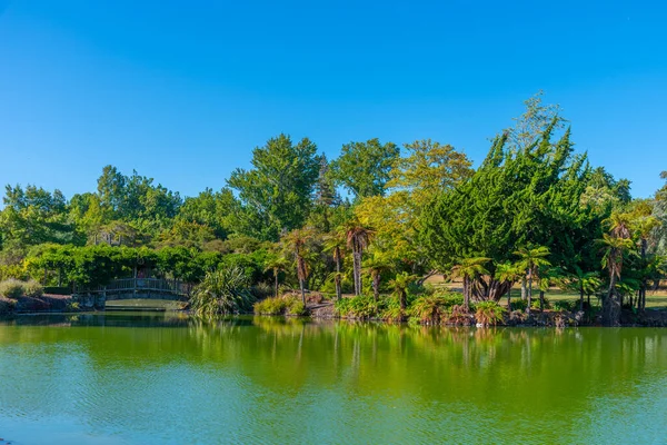 Rotorua Yeni Zelanda Daki Kuirau Parkı Nda Göl — Stok fotoğraf