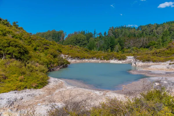 Rotorua 'nın Maori kültürü için Te Puia merkezindeki jeotermal manzarası, Yeni Zelanda