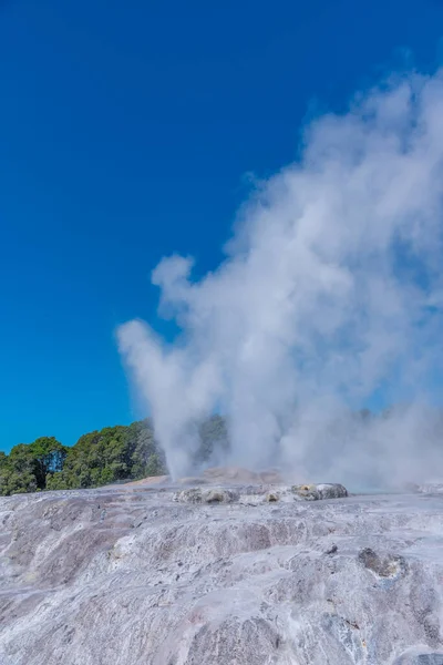 Pohutu Geyser Vid Puia Byn Nära Rotorua Nya Zeeland — Stockfoto