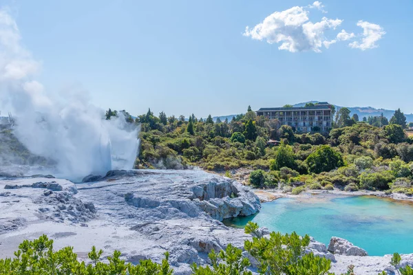 Geyser Pohutu Aldeia Puia Perto Rotorua Nova Zelândia — Fotografia de Stock