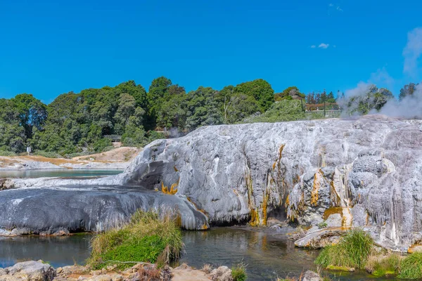 Geyser Pohutu Aldeia Puia Perto Rotorua Nova Zelândia — Fotografia de Stock