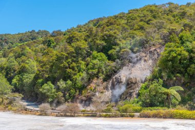 Yeni Zelanda 'daki Waimangu volkanik vadisinde fümeroleler