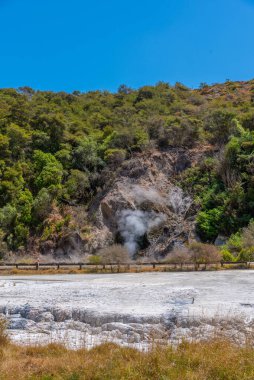 Yeni Zelanda 'daki Waimangu volkanik vadisinde fümeroleler
