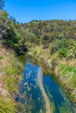 Yeni Zelanda 'daki Waimangu volkanik vadisinde akarsu