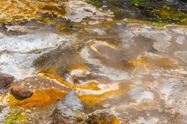 Yeni Zelanda 'daki Waimangu volkanik vadisinde fümeroleler