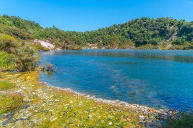 Yeni Zelanda 'nın Waimangu volkanik vadisinde kızarmış tava gölü ve yankı krateri.