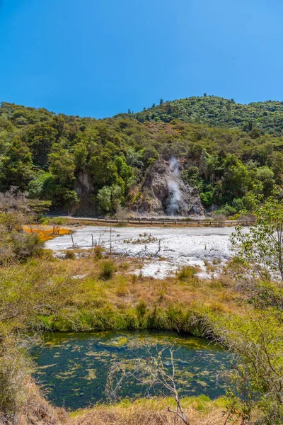 Fumarolas Valle Volcánico Waimangu Nueva Zelanda —  Fotos de Stock