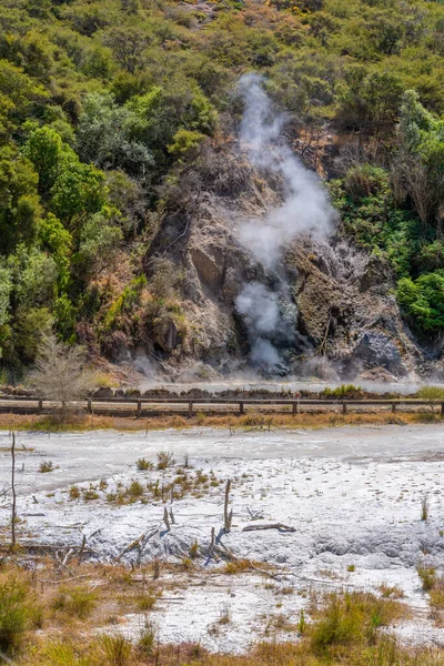 Fumarolas Valle Volcánico Waimangu Nueva Zelanda —  Fotos de Stock