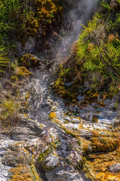 Fumaroles Dans Vallée Volcanique Waimangu Nouvelle Zélande — Photo