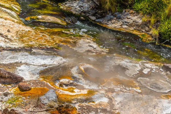 Fumarolas Valle Volcánico Waimangu Nueva Zelanda —  Fotos de Stock