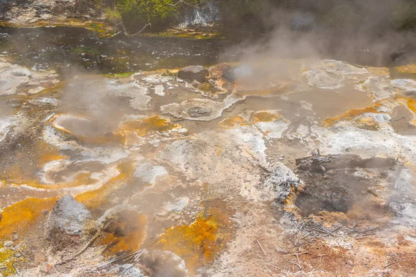 Fumaroles Waimangu Volcanic Valley New Zealand — Stock Photo, Image