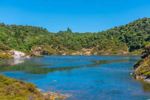 Lac Poêle Cratère Écho Dans Vallée Volcanique Waimangu Nouvelle Zélande — Photo