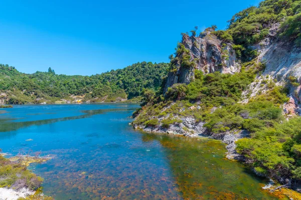 Fritadeira Lago Echo Cratera Waimangu Vale Vulcânico Nova Zelândia — Fotografia de Stock