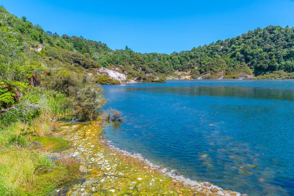 Yeni Zelanda Nın Waimangu Volkanik Vadisinde Kızarmış Tava Gölü Yankı — Stok fotoğraf