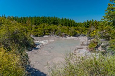 Yeni Zelanda 'daki Wai-O-Tapu' da çamur birikintileri