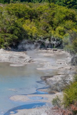 Yeni Zelanda 'daki Wai-O-Tapu' da çamur birikintileri