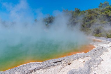 Yeni Zelanda, Wai-O-Tapu 'da şampanya havuzu.