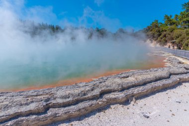 Yeni Zelanda, Wai-O-Tapu 'da şampanya havuzu.