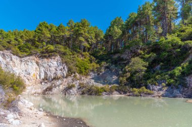 Yeni Zelanda 'daki Wai-O-Tapu' da çamur birikintileri