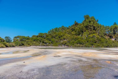 Yeni Zelanda 'daki Wai-O-Tapu' da çamur birikintileri
