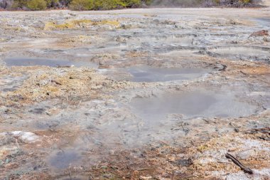 Yeni Zelanda 'daki Wai-O-Tapu' da çamur birikintileri