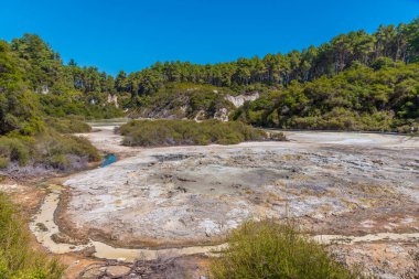 Yeni Zelanda 'daki Wai-O-Tapu' da çamur birikintileri