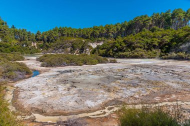 Yeni Zelanda 'daki Wai-O-Tapu' da çamur birikintileri