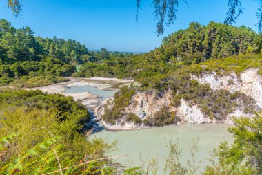 Wai-o-Tapu, Yeni Zelanda jeotermal manzarası